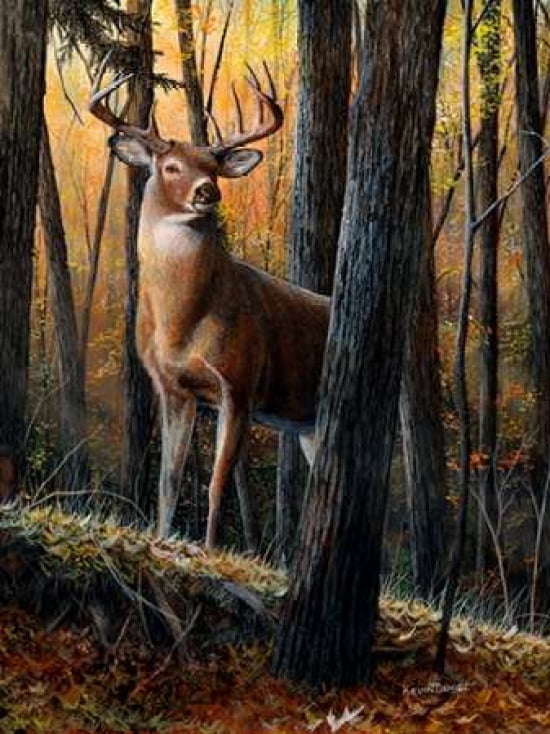 Posterazzi Autumn Monarch Canvas Art - Kevin Daniel (18 x 24)