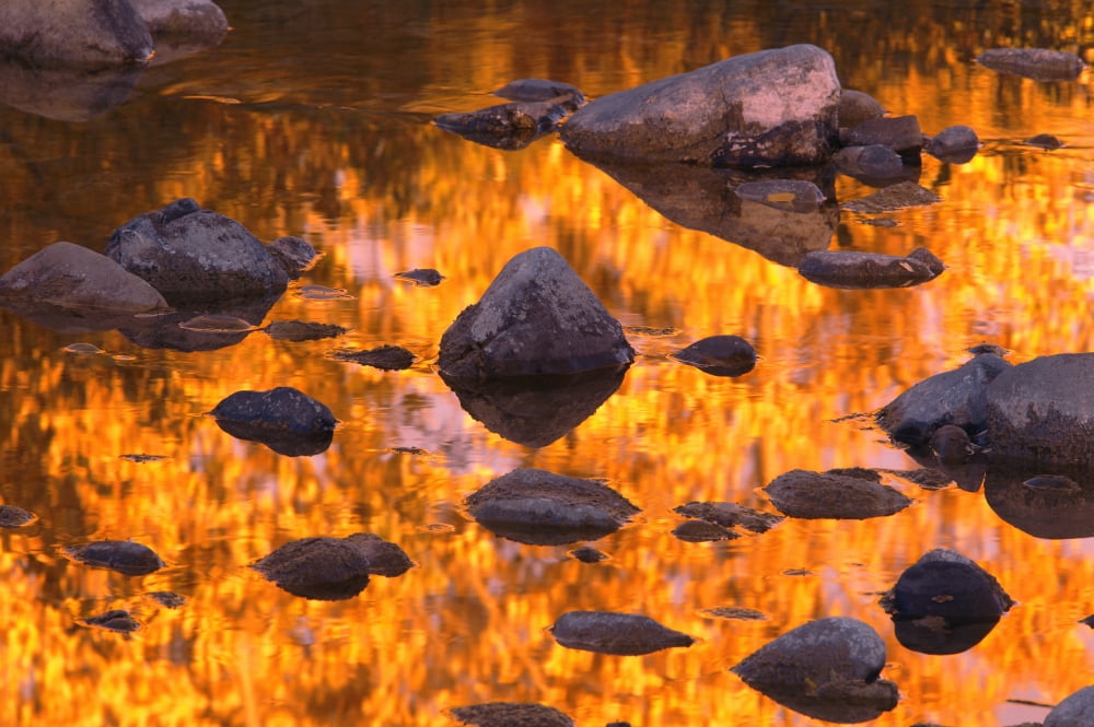 Posterazzi Autumn Reflections Canvas Art - Carson Ganci Design Pics (34 x 22)