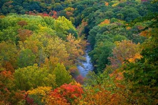 Posterazzi Autumn River Canvas Art - David Liam Kyle (24 x 36)