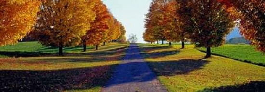 Posterazzi Autumn Road Storm King Mountain New York Canvas Art - Richard Berenholtz (24 x 48)