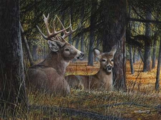 Posterazzi Autumn Royalty Canvas Art - Kevin Daniel (18 x 24)