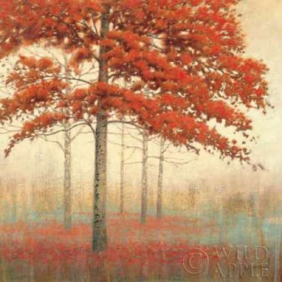 Posterazzi Autumn Trees II Canvas Art - James Wiens (24 x 24)