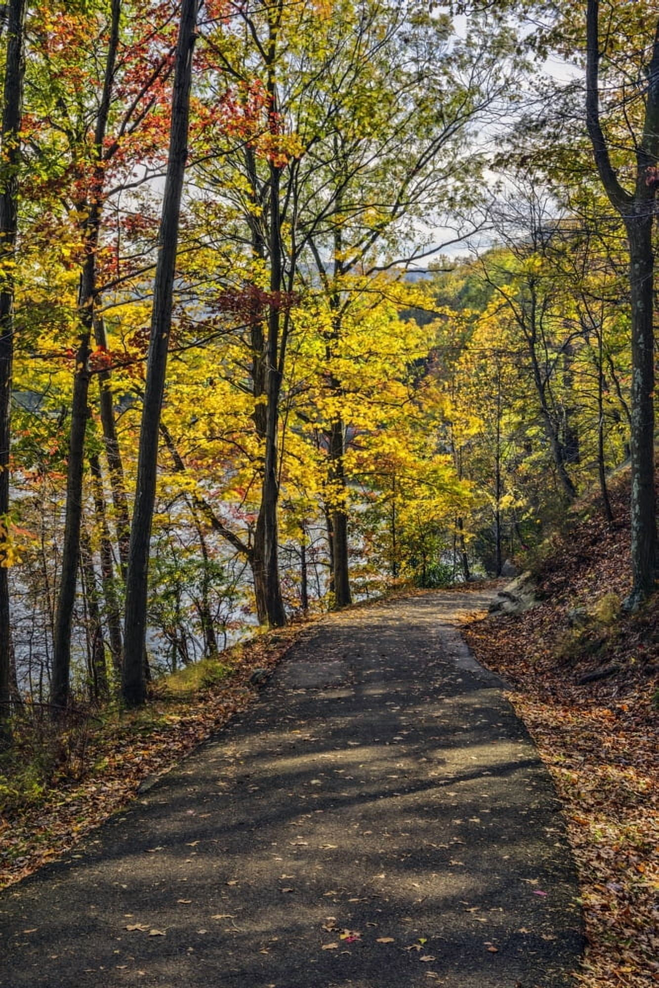 Posterazzi Autumn foliage in Bear Mountain State Park Bear Mountain New York United States of America Canvas Art - F M Kearney Design Pics (24 x 38)
