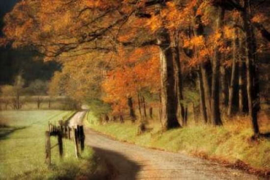 Posterazzi Autumns Morning Light Canvas Art - D Burt (24 x 36)