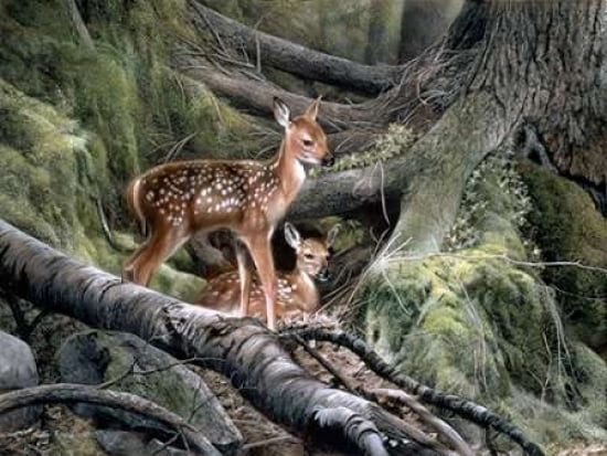 Posterazzi Awakening Canvas Art - Kevin Daniel (22 x 28)