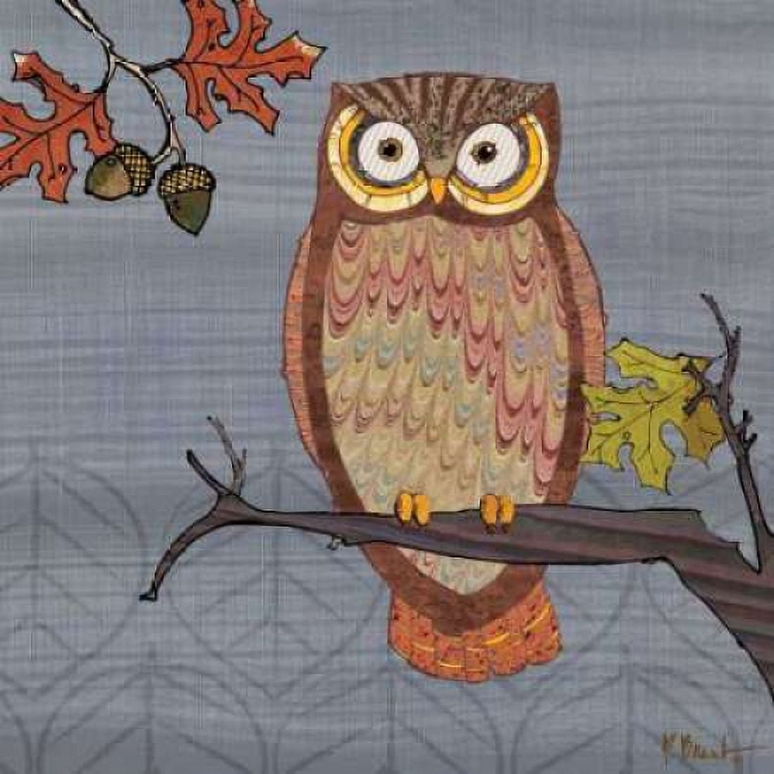 Posterazzi Awesome Owls II Canvas Art - Paul Brent (24 x 24)