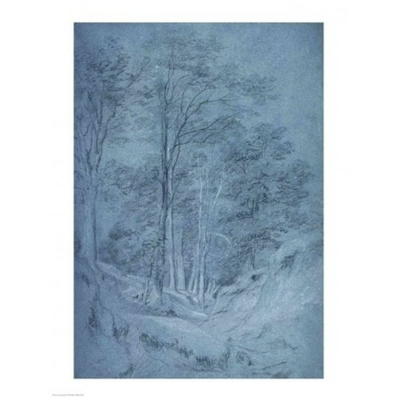 Posterazzi BALBAL22403 Study of Ash & Other Trees Poster Print by John Constable - 18 x 24 in.