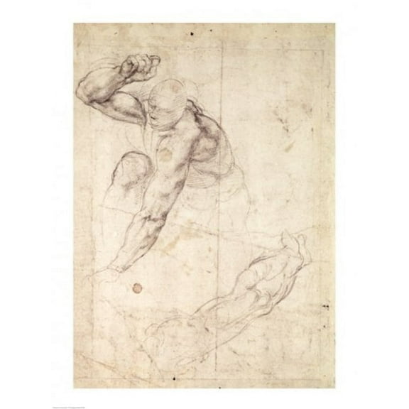 Posterazzi BALBAL68799LARGE Male Figure Study Poster Print by Michelangelo Buonarroti - 24 x 36 in. - Large