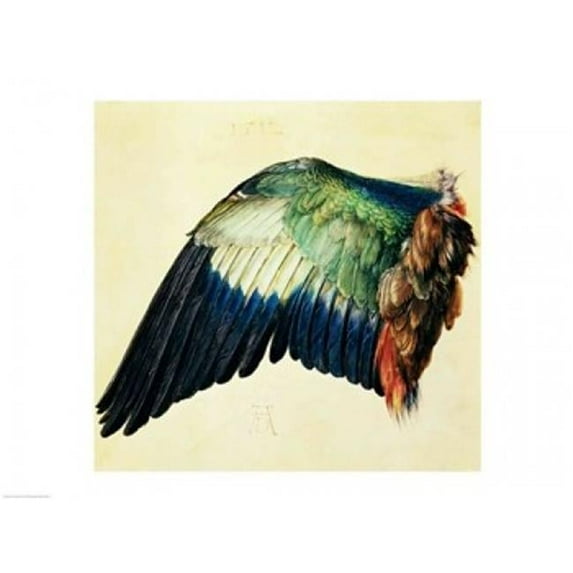 Posterazzi BALXAM70453 Wing of A Blue Roller 1512 Poster Print by Albrecht Durer - 24 x 18 in.