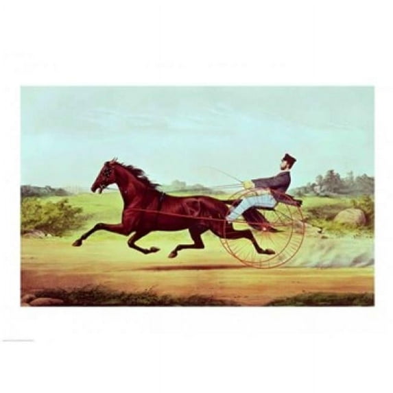 Posterazzi BALXJL166135 The Celebrated Horse Poster Print - 24 x 18 in.
