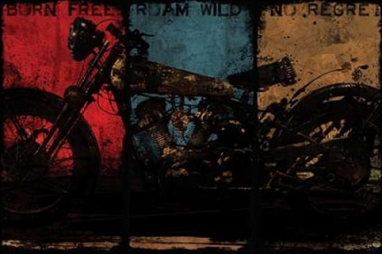 Posterazzi BORN FREE MULTI Canvas Art - Eric Yang (24 x 36)