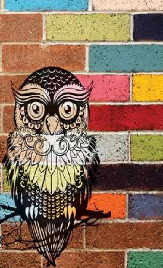 Posterazzi BRICK OWL Canvas Art - Piper Ballantyne (24 x 36)