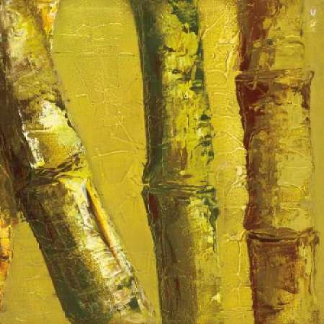 Posterazzi Bamboo Columbia IV Canvas Art - Tita Quintero (24 x 24)