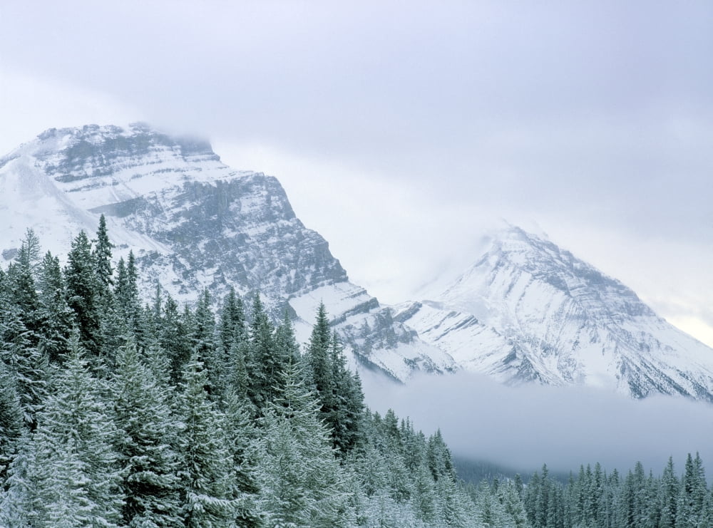 Posterazzi Banff National Park Alberta Canada Canvas Art - Darwin Wiggett Design Pics (32 x 24)
