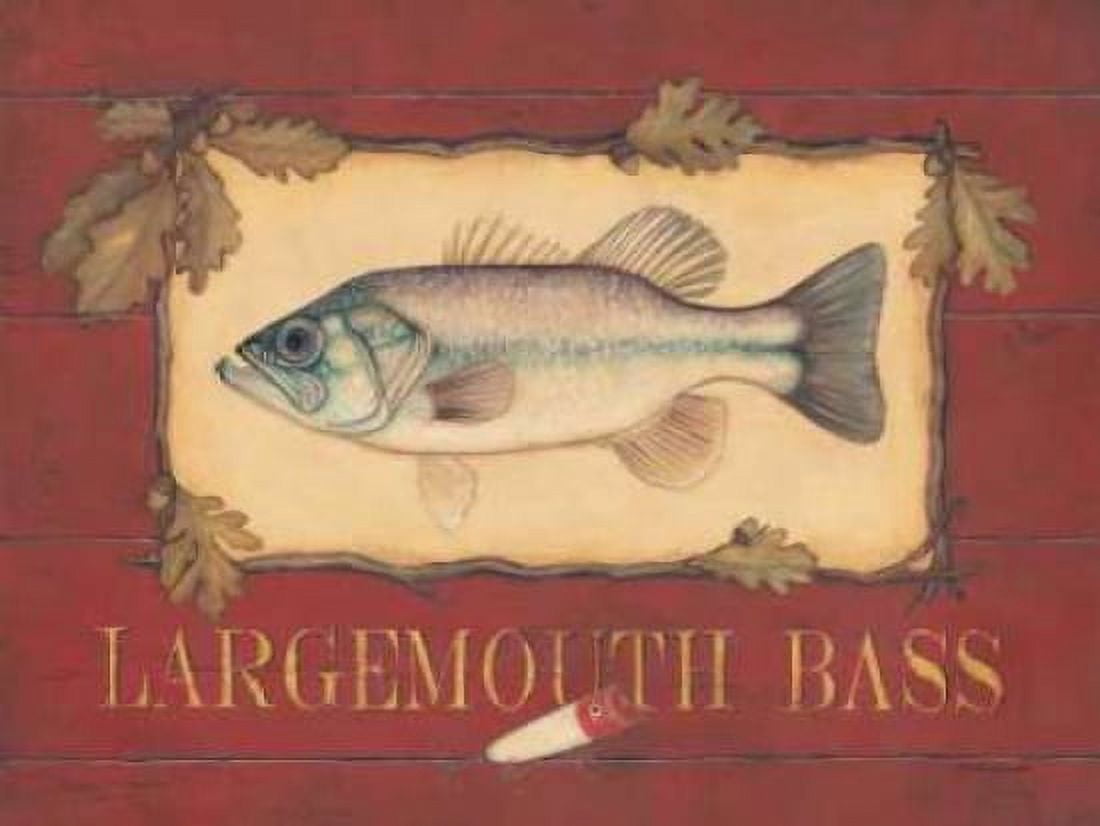Posterazzi Bass Canvas Art - Stephanie Marrott (18 x 24)