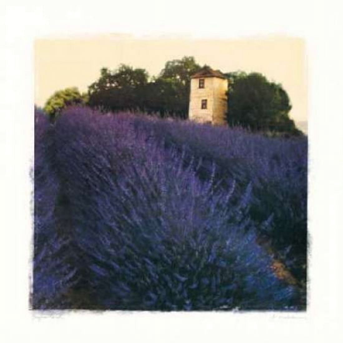 Posterazzi Bayliss Ranch Canvas Art - Amy Melious (24 x 24)