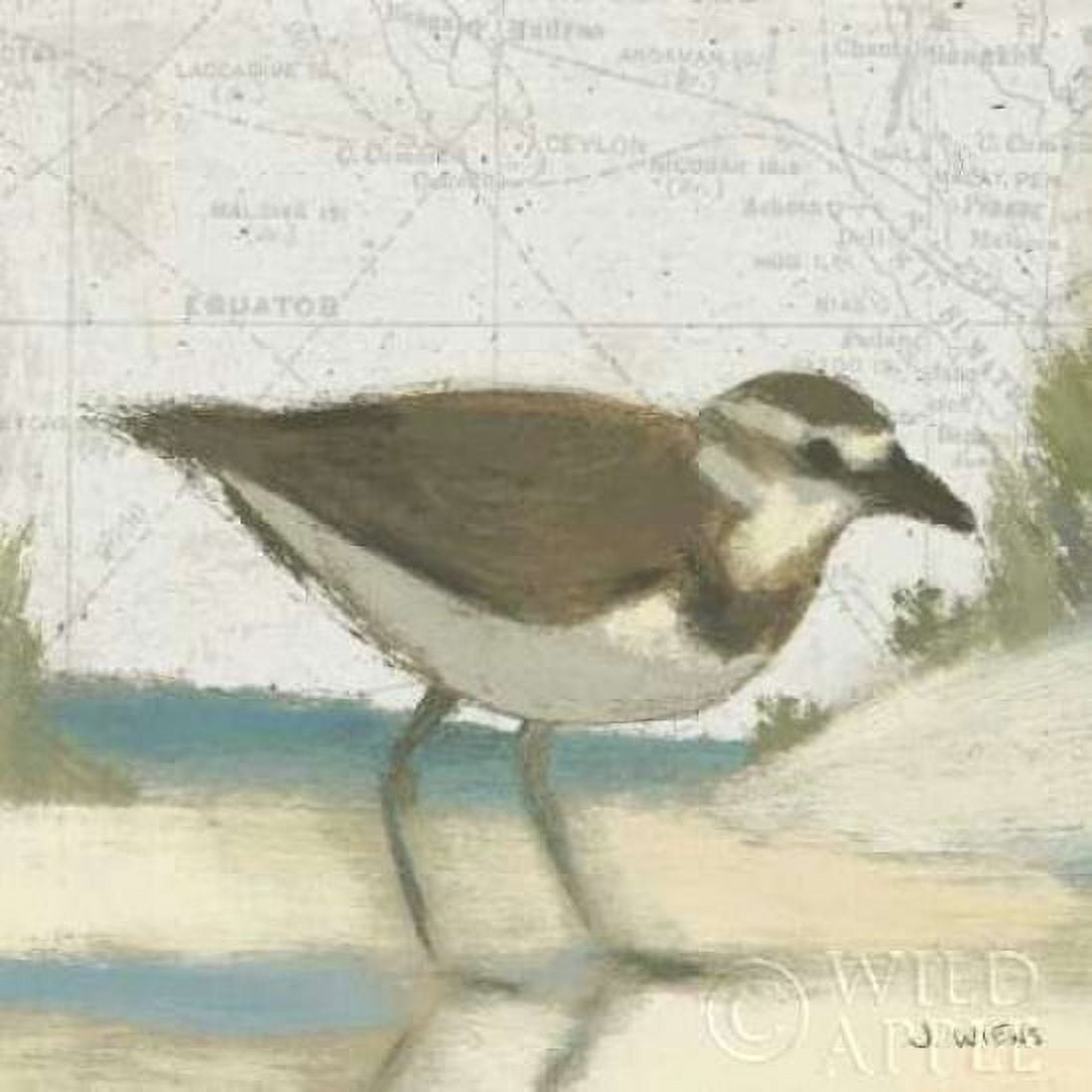 Posterazzi Beach Bird III Canvas Art - James Wiens (24 x 24)