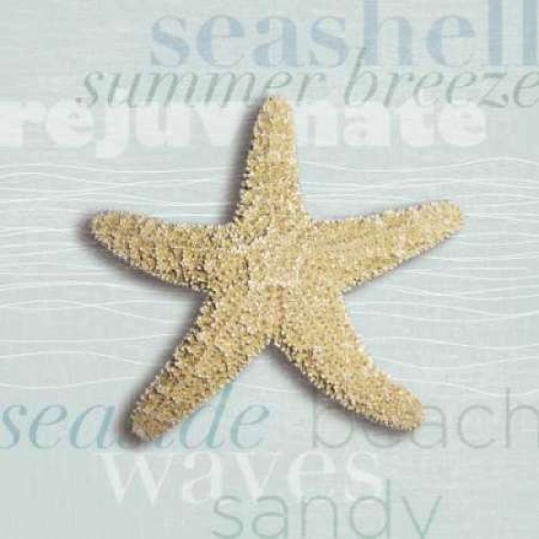 Posterazzi Beach Collection II Canvas Art - Tandi Venter (24 x 24)