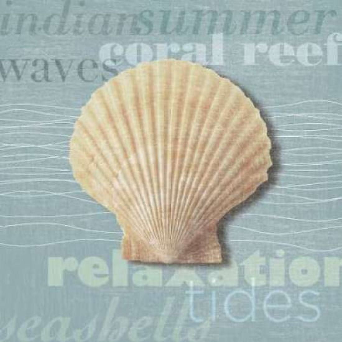 Posterazzi Beach Collection III Canvas Art - Tandi Venter (24 x 24)