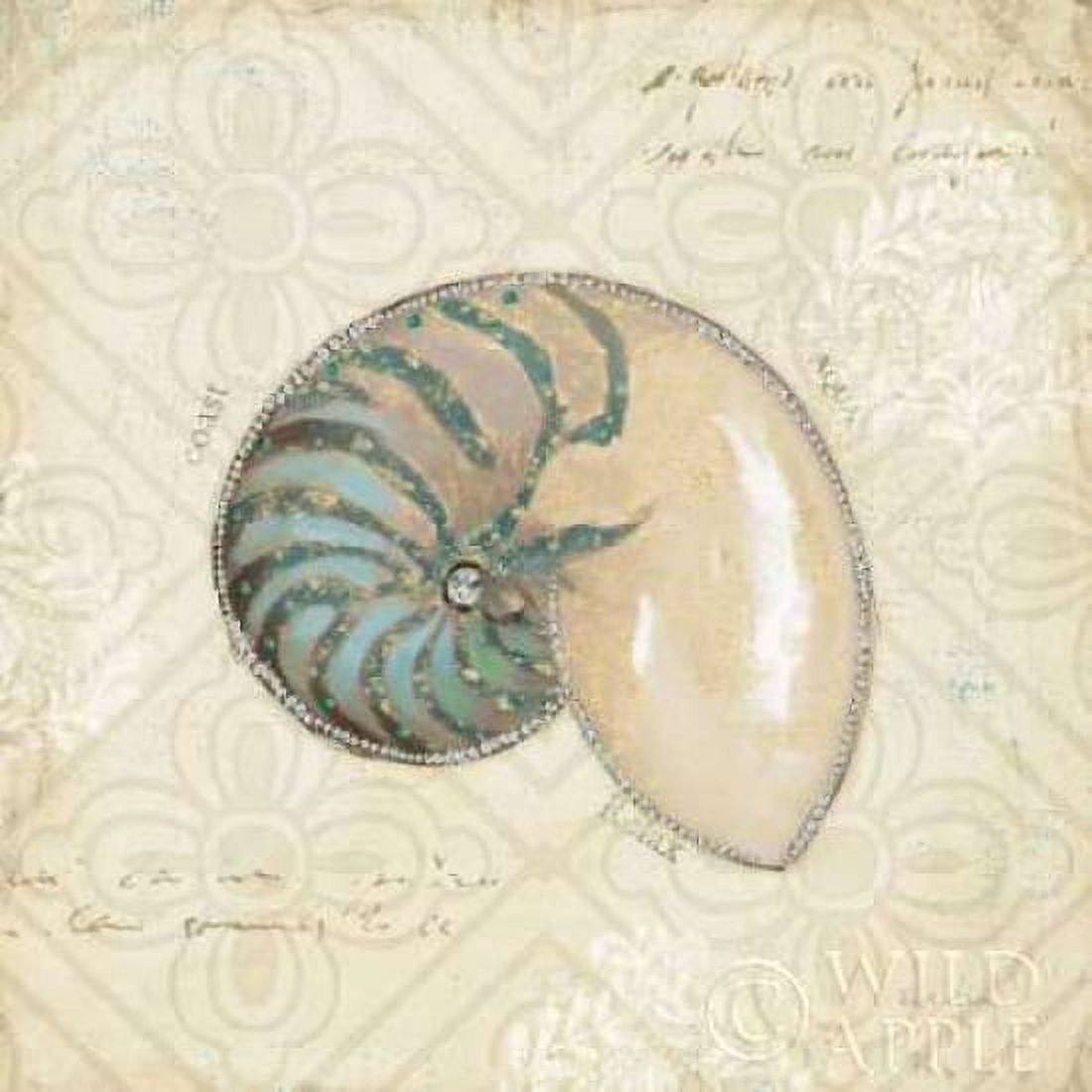 Posterazzi Beach Treasures III Canvas Art - Emily Adams (24 x 24)