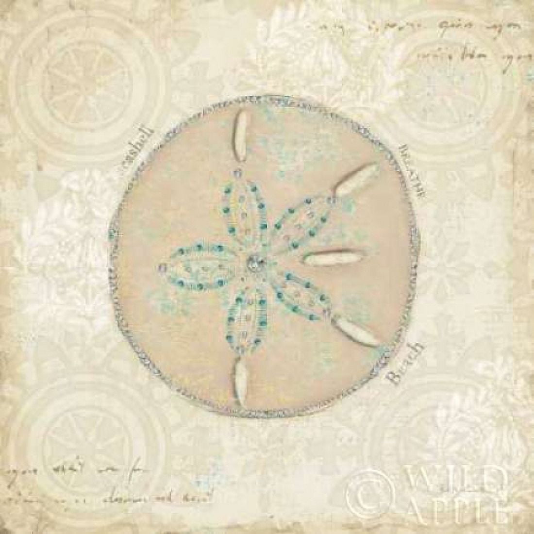 Posterazzi Beach Treasures IV Canvas Art - Emily Adams (24 x 24)