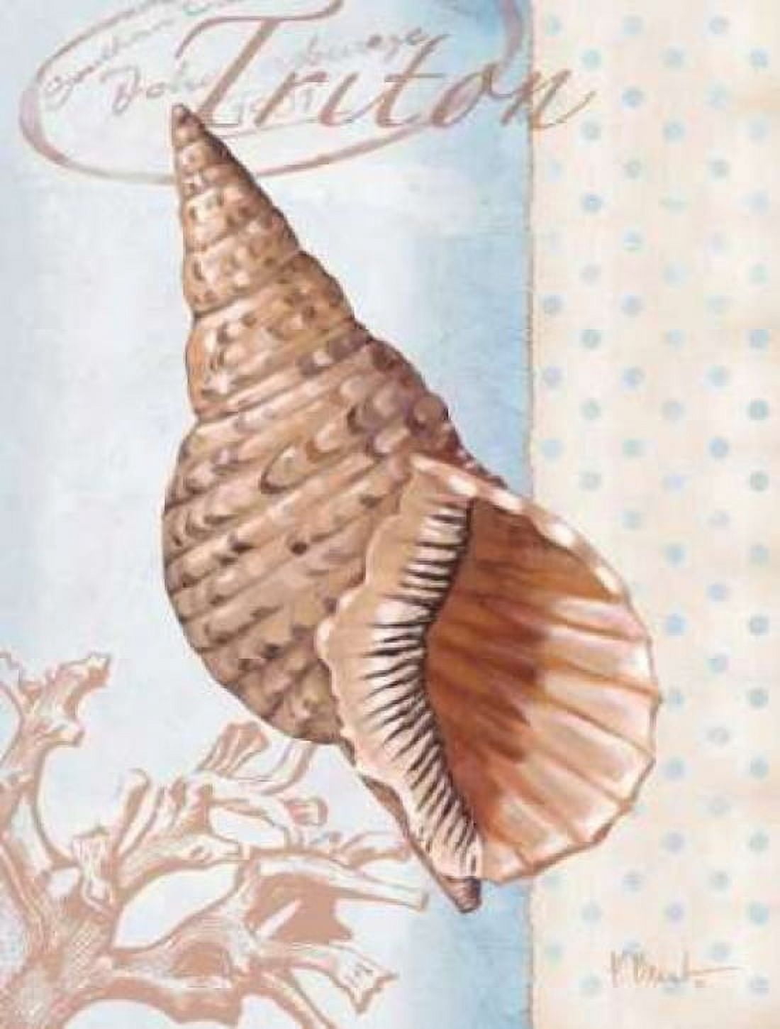 Posterazzi Beachhouse Blue II Canvas Art - Paul Brent (22 x 28)