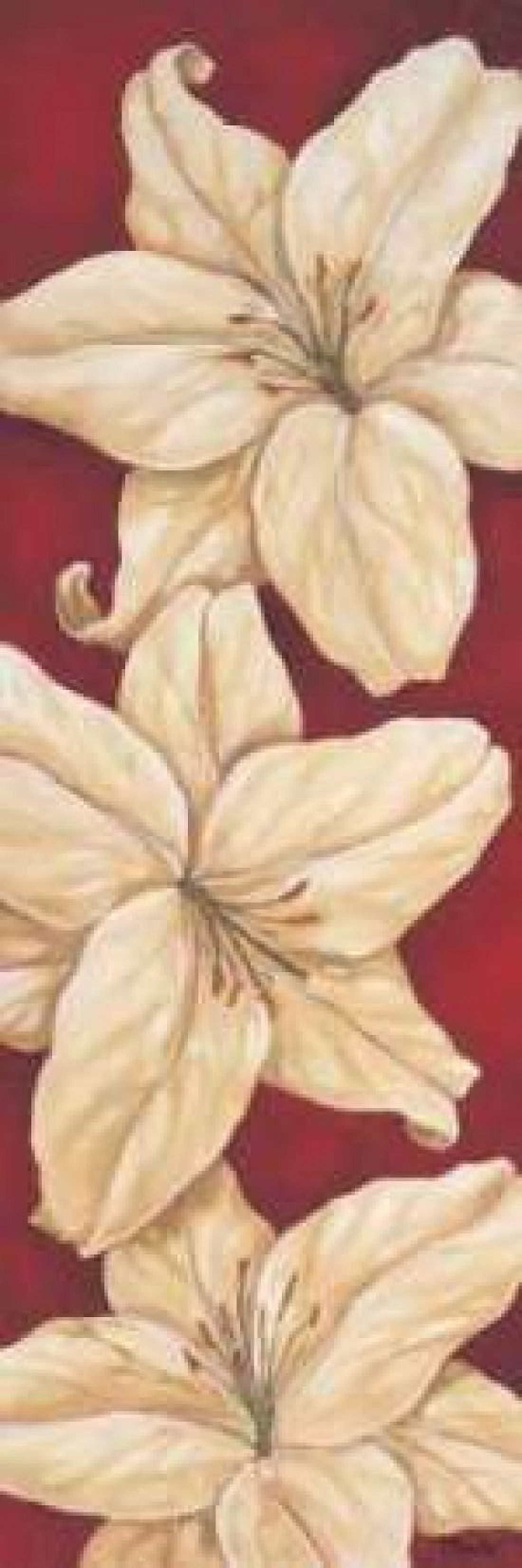 Posterazzi Bella Grande Lilies Canvas Art - Paul Brent (12 x 36)