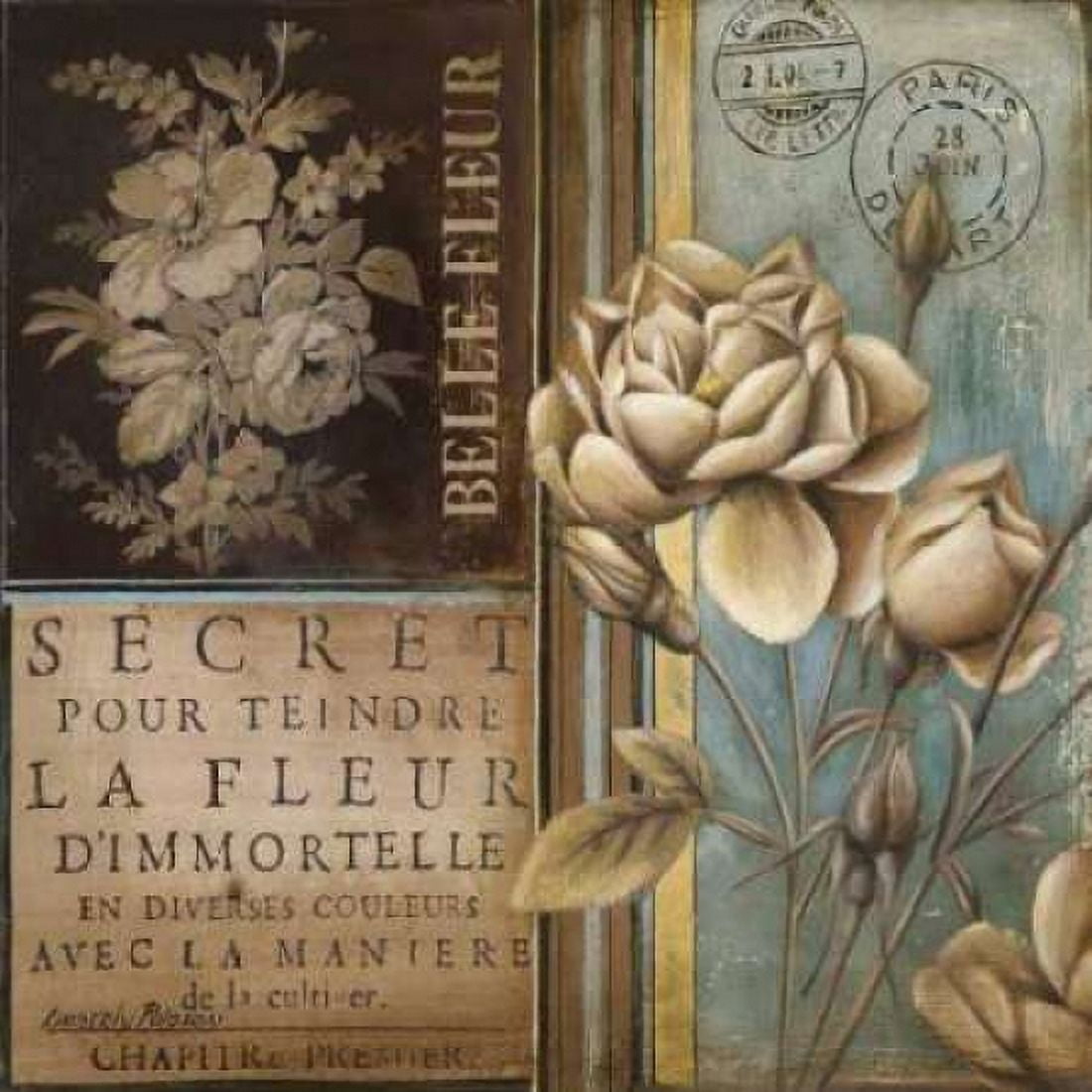 Posterazzi Belle Fleur I Canvas Art - Kimberly Poloson (24 x 24)