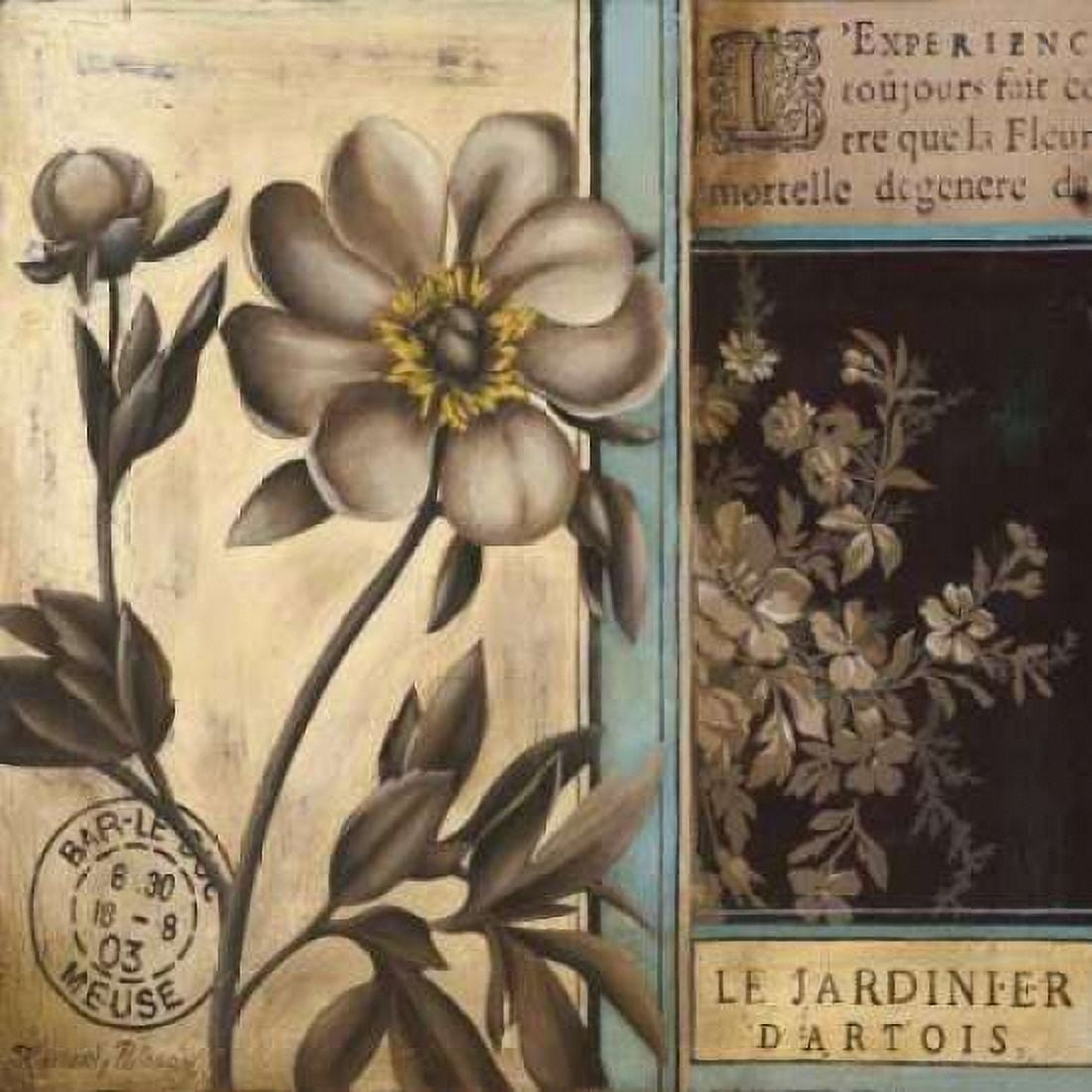 Posterazzi Belle Fleur II Canvas Art - Kimberly Poloson (24 x 24)