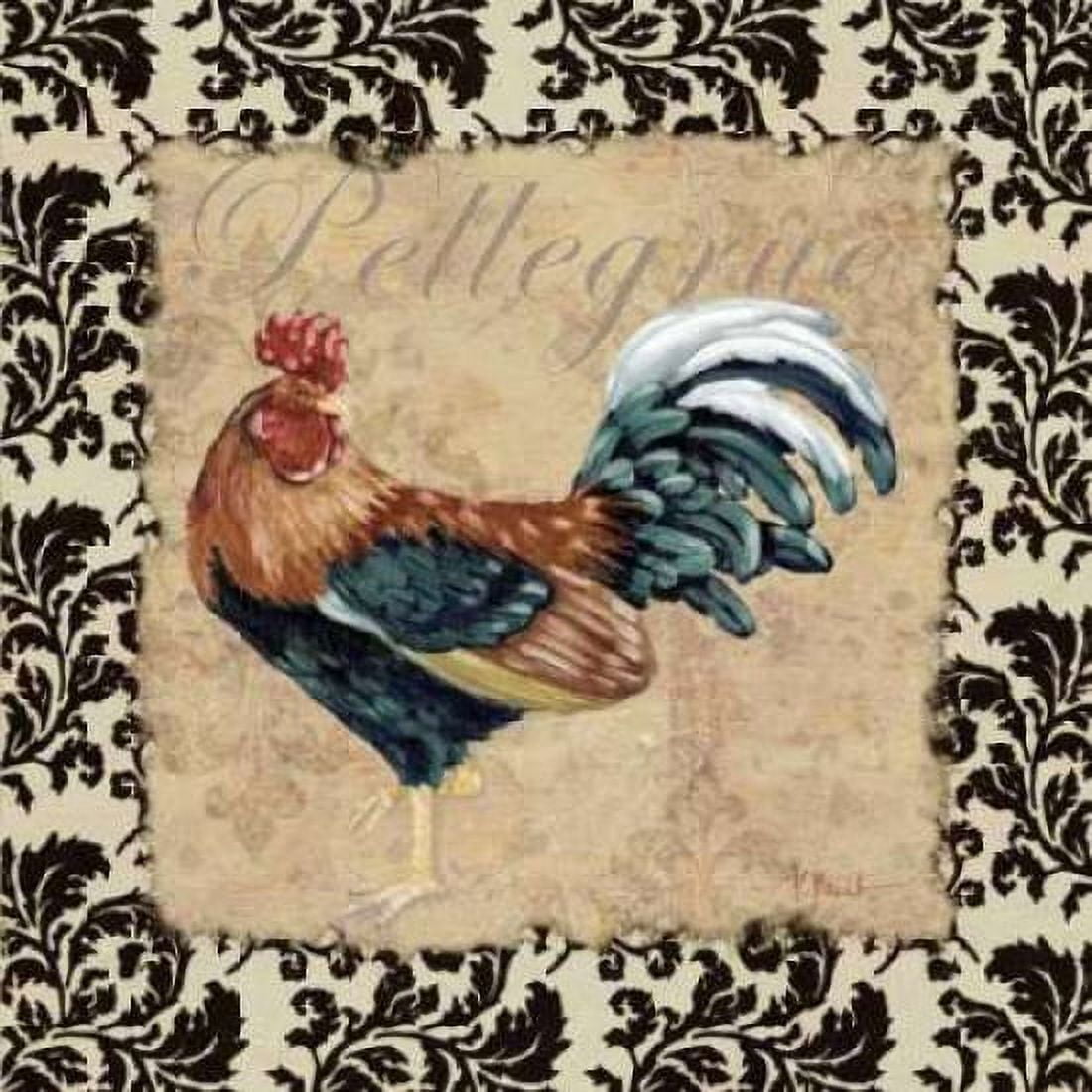 Posterazzi Bergerac Rooster Black II Canvas Art - Paul Brent (24 x 24)