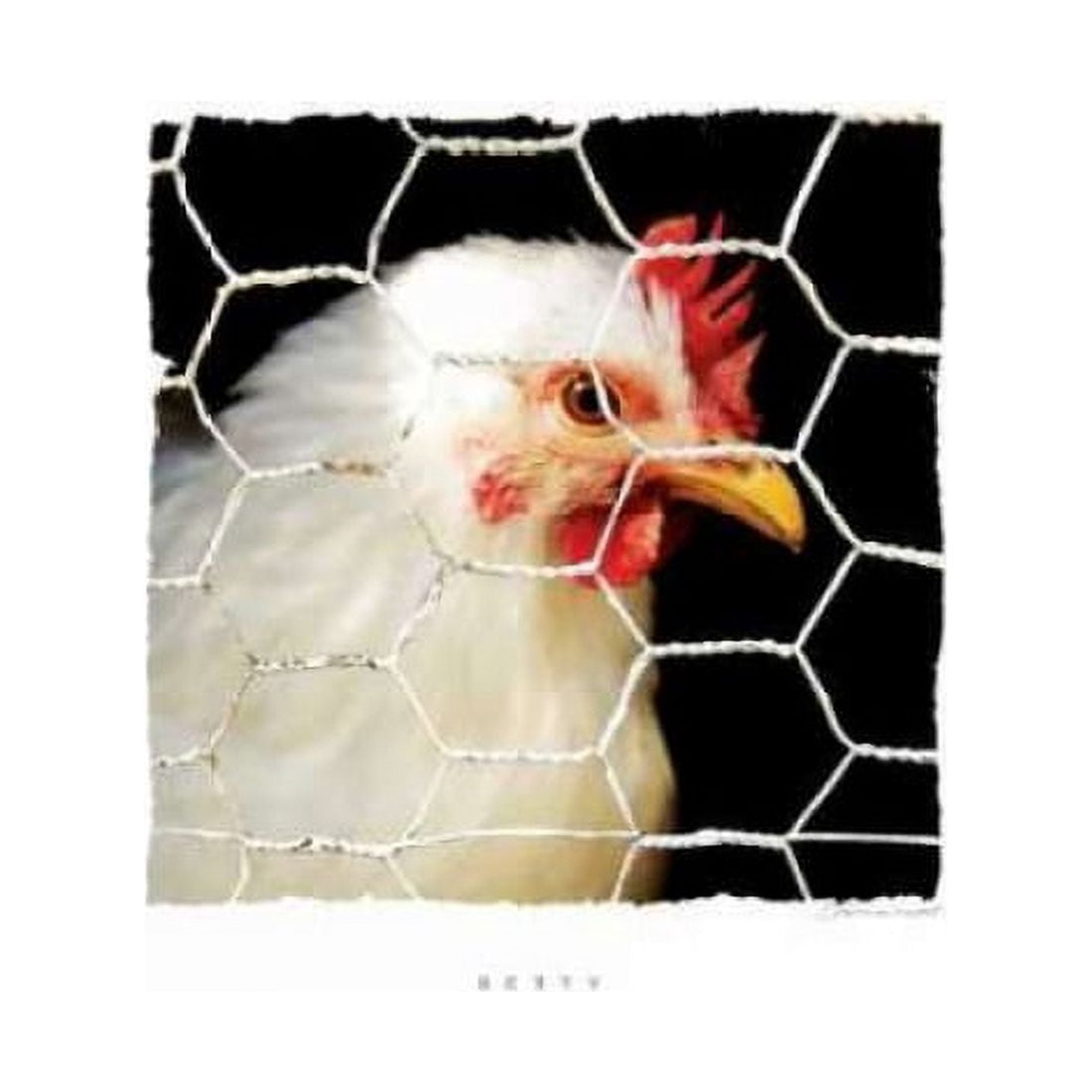 Posterazzi Betty Canvas Art - Stephanie Marrott (24 x 24)
