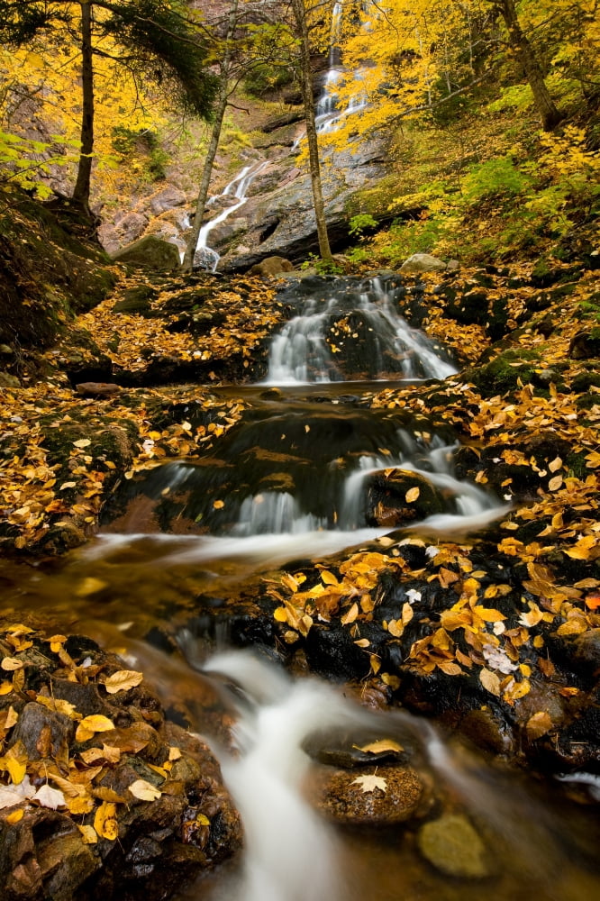 Posterazzi Beulach Ban Falls Cape Breton Highlands National Park Nova Scotia Canvas Art - John Sylvester Design Pics (22 x 34)
