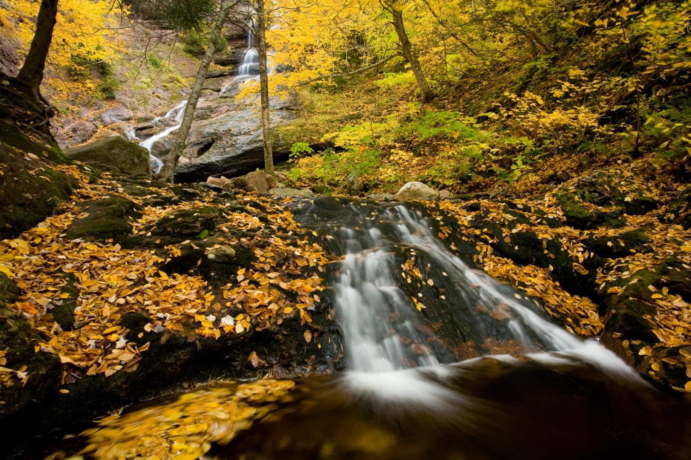 Posterazzi Beulach Ban Falls Cape Breton Highlands National Park Nova Scotia Canvas Art - John Sylvester Design Pics (34 x 22)