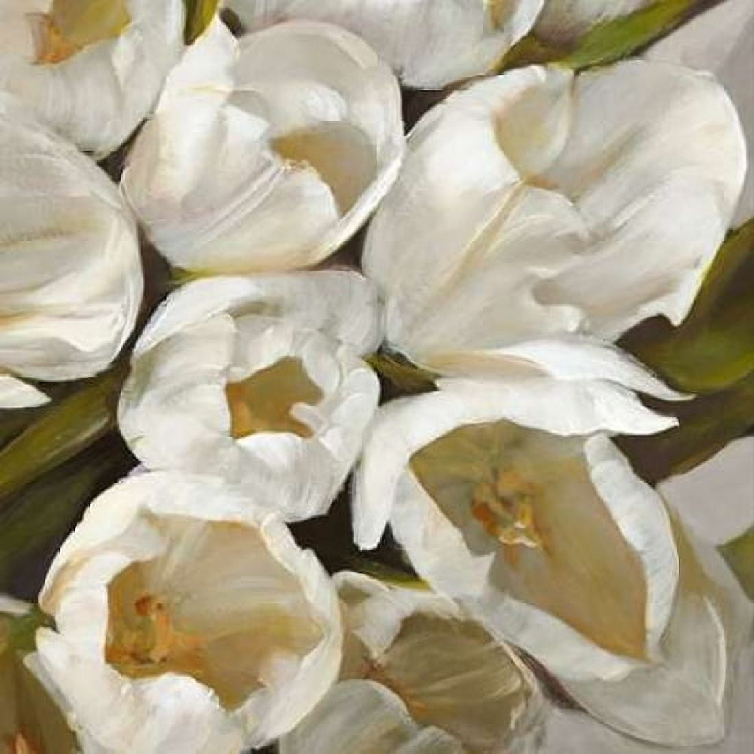 Posterazzi Bianco II Canvas Art - Leonardo Sanna (24 x 24)