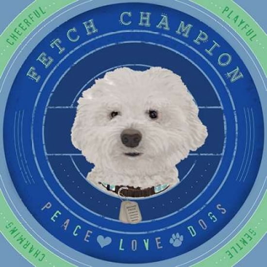 Posterazzi Bichon Frise Canvas Art - Longfellow Designs (24 x 24)