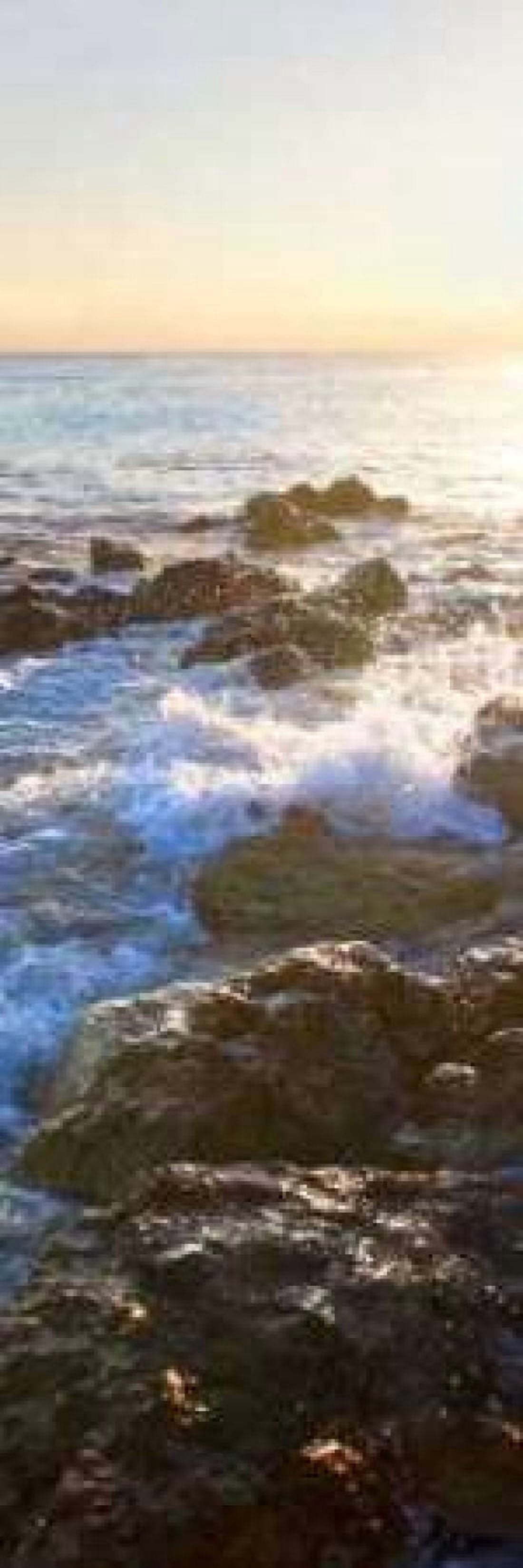 Posterazzi Bimini Coastline II Canvas Art - Susan Bryant (12 x 36)