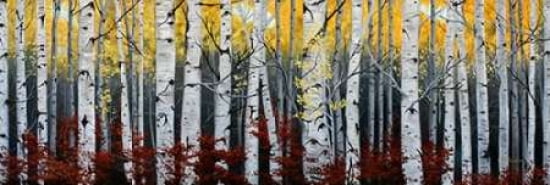 Posterazzi Birch Forest Canvas Art - Julie Peterson (12 x 36)