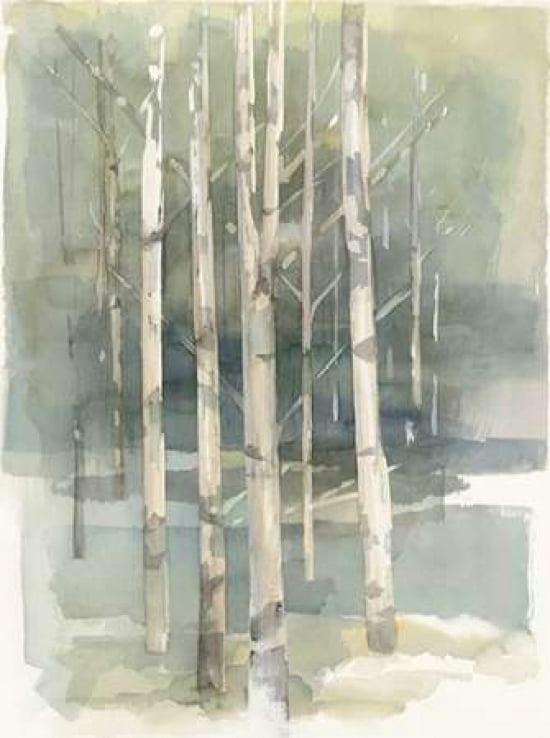 Posterazzi Birch Grove I Canvas Art - Avery Tillmon (18 x 24)