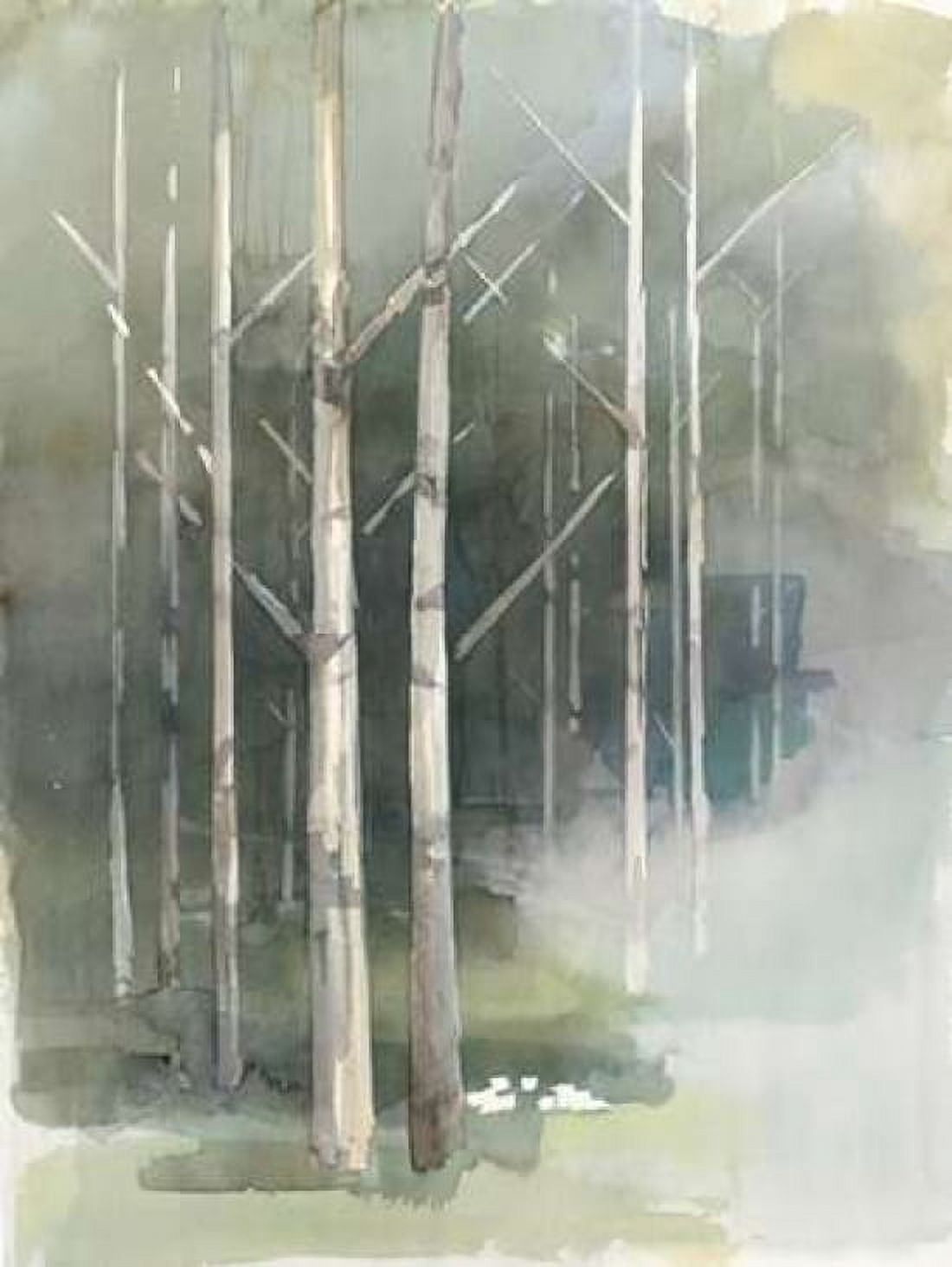 Posterazzi Birch Grove II Canvas Art - Avery Tillmon (22 x 28)