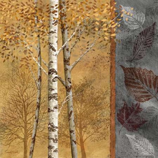 Posterazzi Birch Trees in Autumn II Canvas Art - Conrad Knutsen (24 x 24)