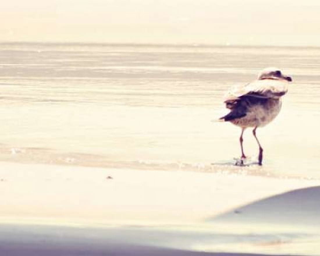 Posterazzi Bird at The Beach Canvas Art - Sylvia Coomes (24 x 30)