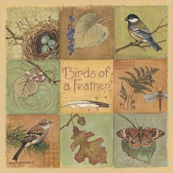 Posterazzi Birds of a Feather Canvas Art - Anita Phillips (24 x 24)