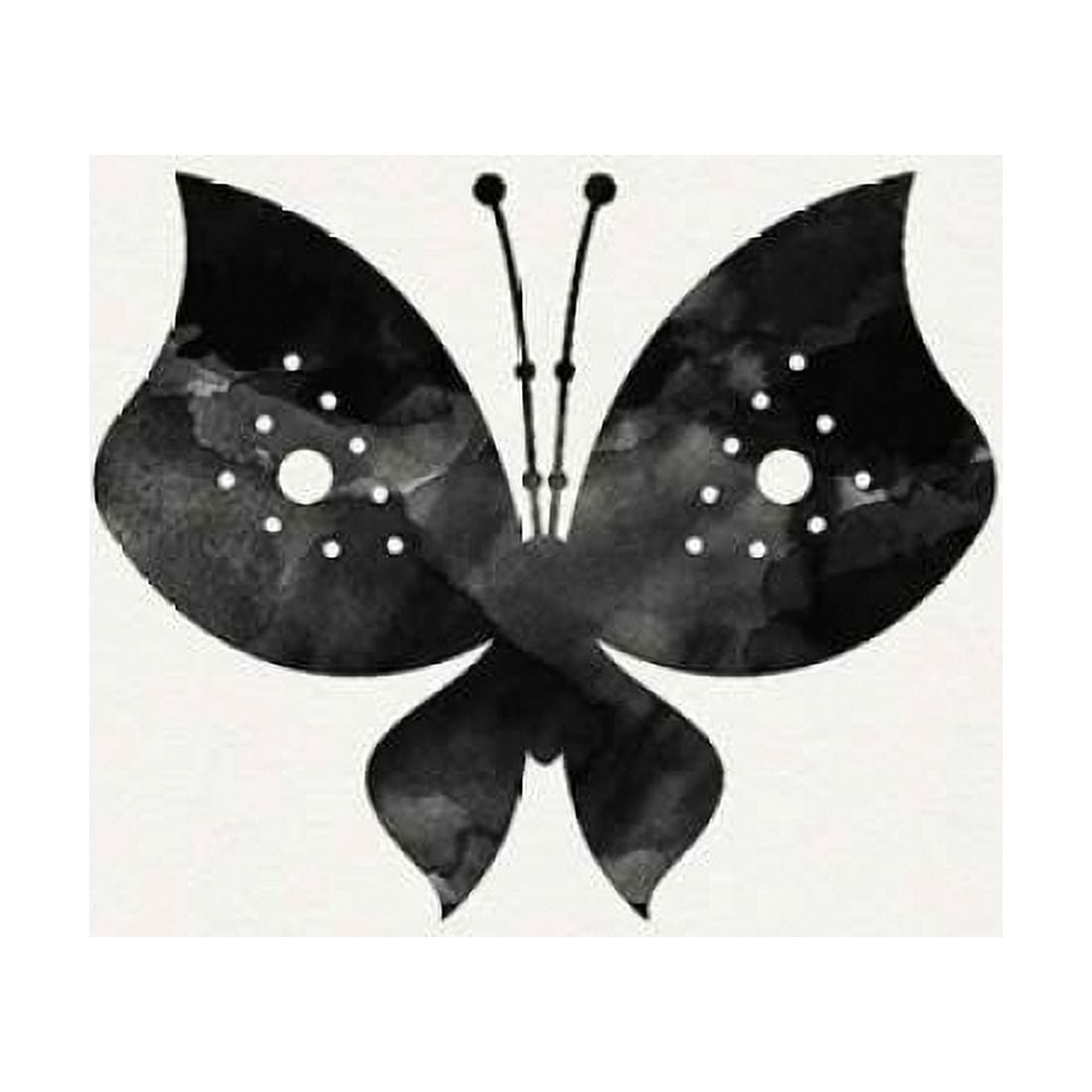 Posterazzi Black and White Butterfly II Canvas Art - Linda Woods (24 x 24)