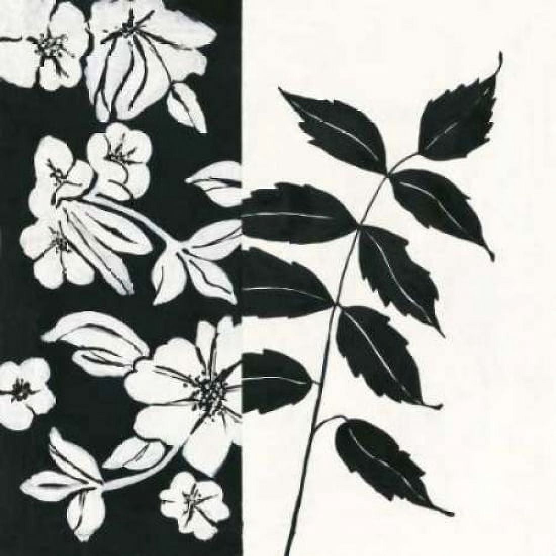 Posterazzi Black and White III Canvas Art - Stephanie Marrott (24 x 24)