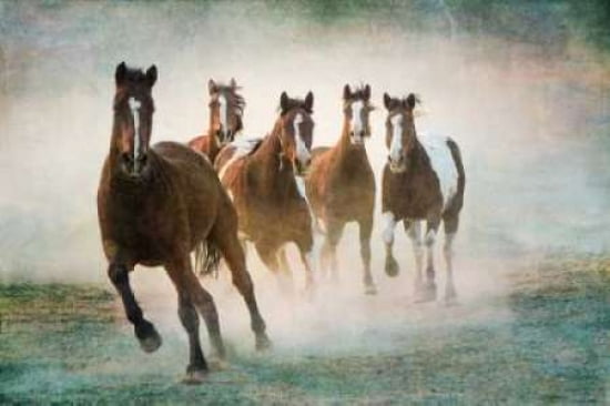 Posterazzi Blaze of Glory Canvas Art - Wendy Caro (24 x 36)
