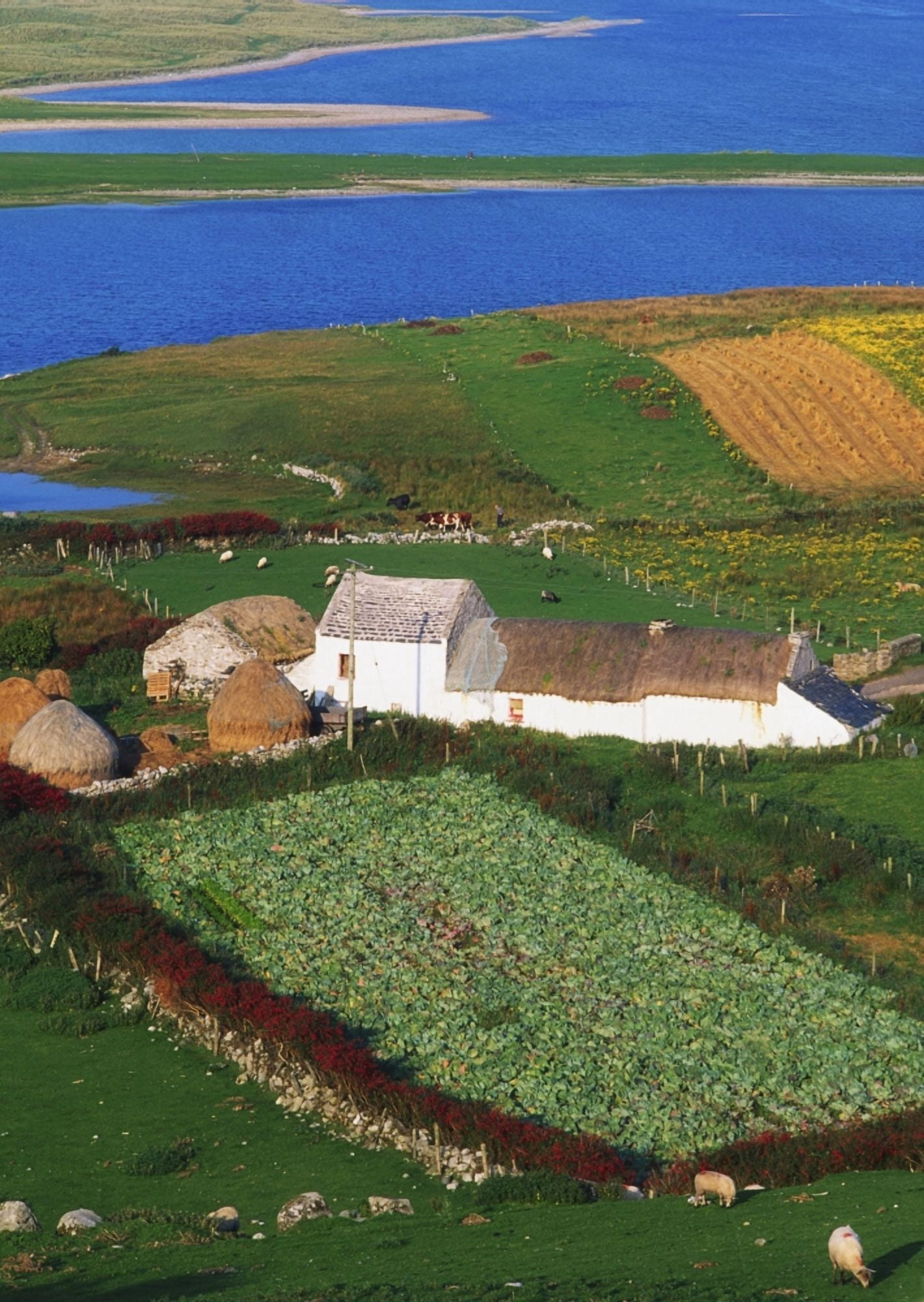 Posterazzi Bloody Foreland Co Donegal Ireland Aerial View Of Farm Structures And Towards Ballyness Bay Canvas Art - The Irish Image Collection Design Pics (24 x 36)