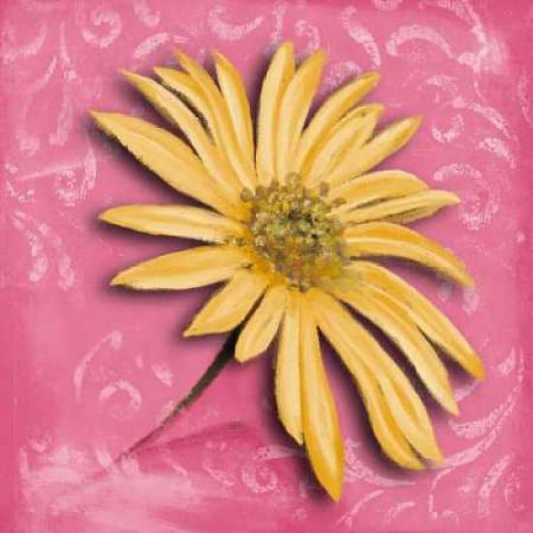 Posterazzi Blooming Daisy II Canvas Art - Patricia Pinto (24 x 24)