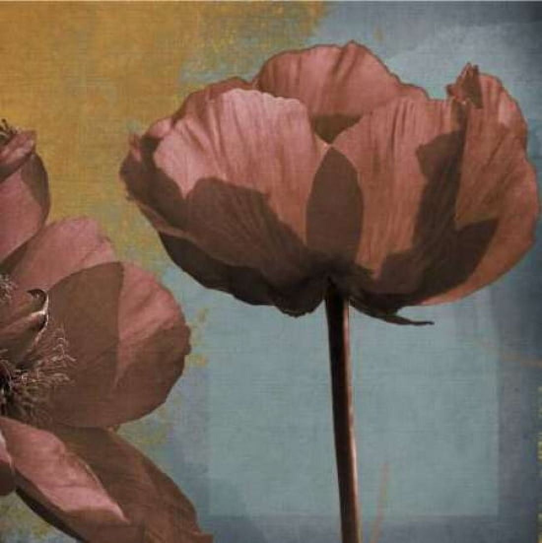 Posterazzi Blooming Jewels Canvas Art - Robert Lacie (24 x 24)