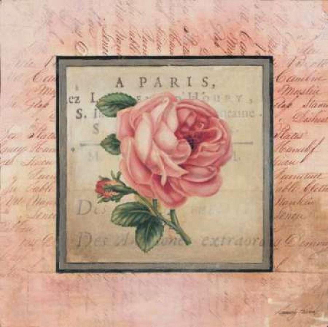 Posterazzi Blooming Paris I Canvas Art - Kimberly Poloson (24 x 24)
