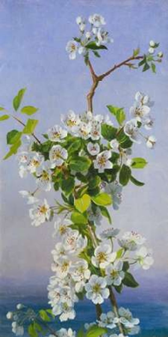 Posterazzi Blossom I Canvas Art - Sophie Anderson (24 x 48)